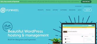 flywheel hosting