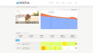wistia video analytics