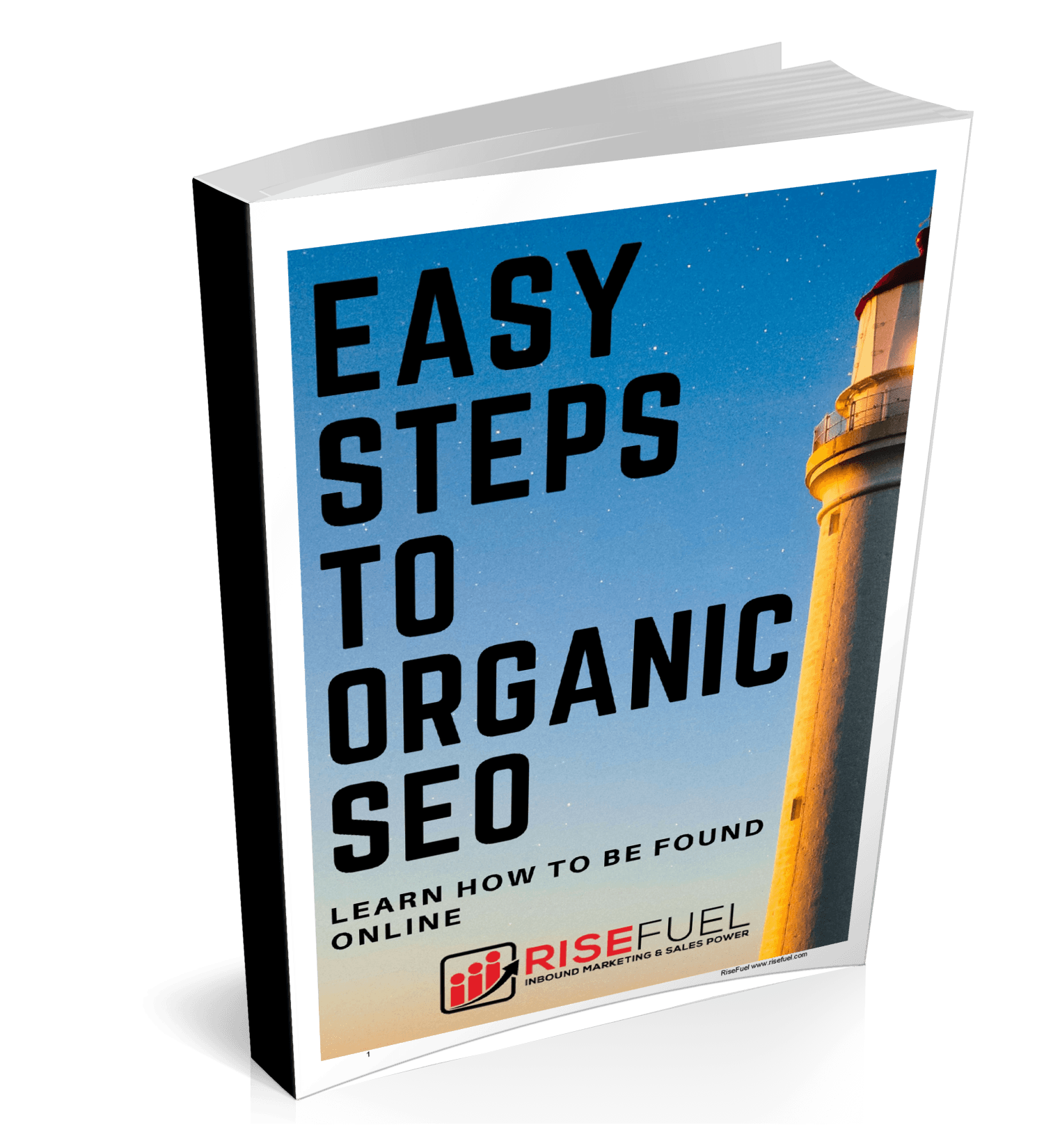 LEARN THE EASY STEPS TO ORGANIC SEO